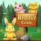 RIO Fly Club