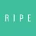 Ripe - What's Good Here?