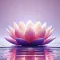 Affirmations Daily Inspiration