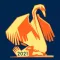 2021 ICF World Championships