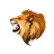 Roar lion