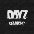 Strategy Guide for DayZ
