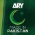 Ary Mip