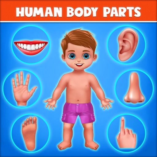 Human Body Parts Play to Learn Human Body Parts Play to Learn