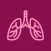 Respiratory and Lung sounds
