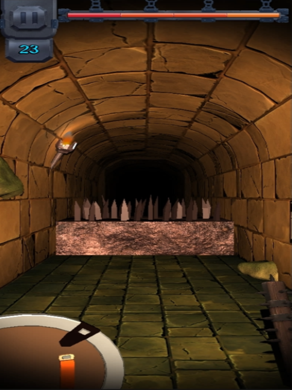 Dungeon Raider: Menace Below iPad  Screenshots