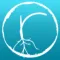 Roots Yoga