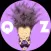 Quiz Professional