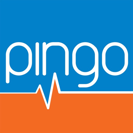 Pingo Analisi Internet Pingo Analisi Internet