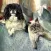 Cats & Dogs Breeds