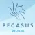 Pegasus GP Jobs