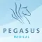 Pegasus GP Jobs