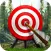Archery Bow 2017