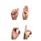 Sign Language Guide - Best Video Guide