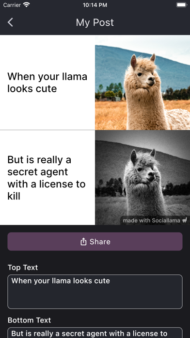 Sociallama — Design the Viral स्क्रीनशॉट