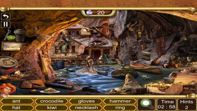 Hidden Objects : Owl Mystery Screenshots