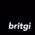BritGi - Smart CCTV