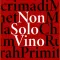 NonSoloVino