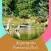 Algonquin Provincial Park