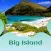 Big Island Tourism