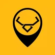 Yellow Bull