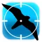 Crazy Bird Hunting Challenge