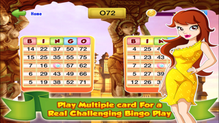 Bingo Master Deluxe Casino - HD Free Screenshots