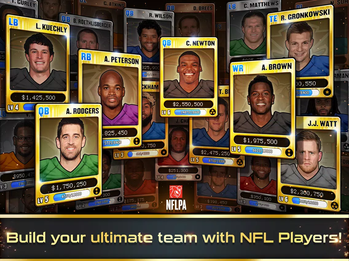 ภาพหน้าจอของ Football Heroes PRO 2017 - featuring NFL Players iPad 