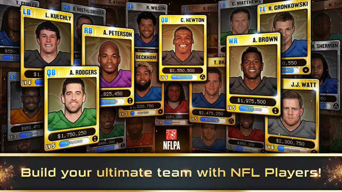 ภาพหน้าจอของ Football Heroes PRO 2017 - featuring NFL Players