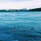 Tashlich Prayer - סדר תשליך