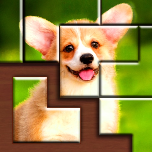 Jigsaw Puzzle Blocks Jigsaw Puzzle Blocks