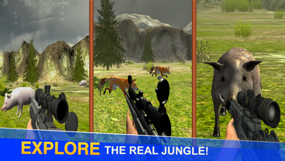 Jungle Sniper Hunting Game Screenshots