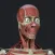Anatomy Reference Guide