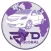 RYD Global Rider