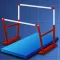 Gymnastics Meet Scores