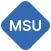 Mobile Security User