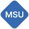 Mobile Security User