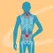 Yoga for Back Pain Relief