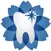 Orthodontic | ارتودنسی نوین
