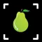 Fruit Identifier: Fruit ID