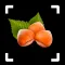 Nut Identifier: Nut ID
