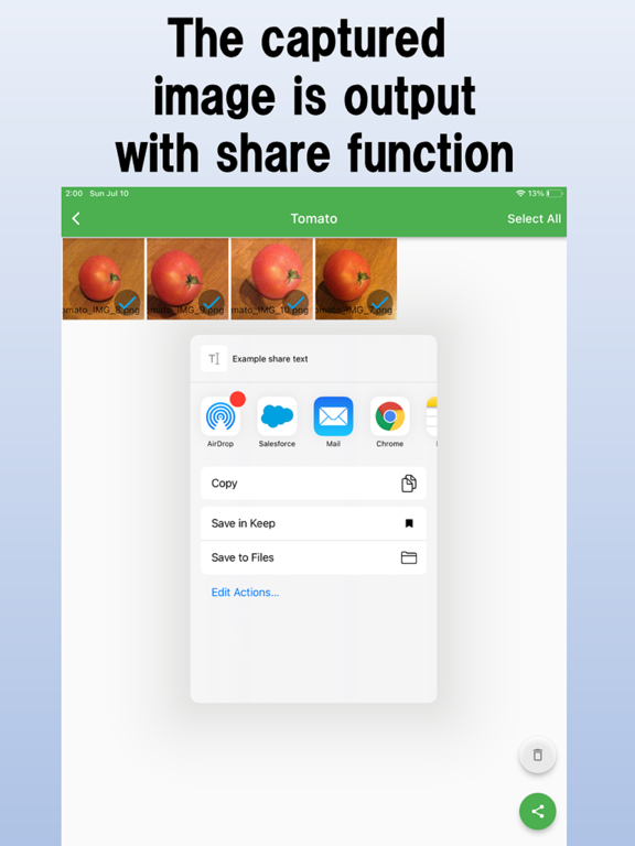 Annotation Camera iPad Screenshots