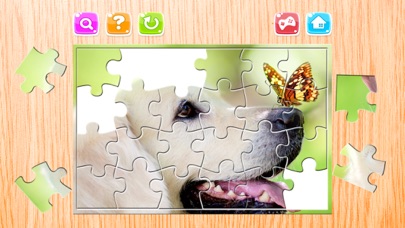 Animals Puzzle for Adults Jigsaw Puzzles Game Free Screenshots