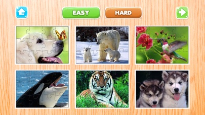 Animals Puzzle for Adults Jigsaw Puzzles Game Free Screenshots
