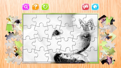 Animals Puzzle for Adults Jigsaw Puzzles Game Free Screenshots