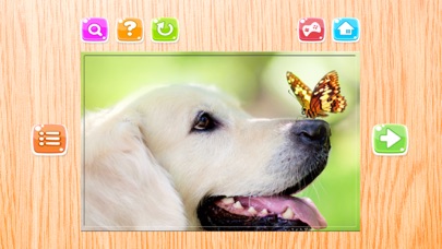 Animals Puzzle for Adults Jigsaw Puzzles Game Free Screenshots