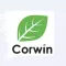 Eric at Corwin Honda