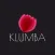 Клумба доставка цветов Томск