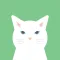 Meow simulator
