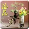 插花教程-插花设计艺术入门视频教程
